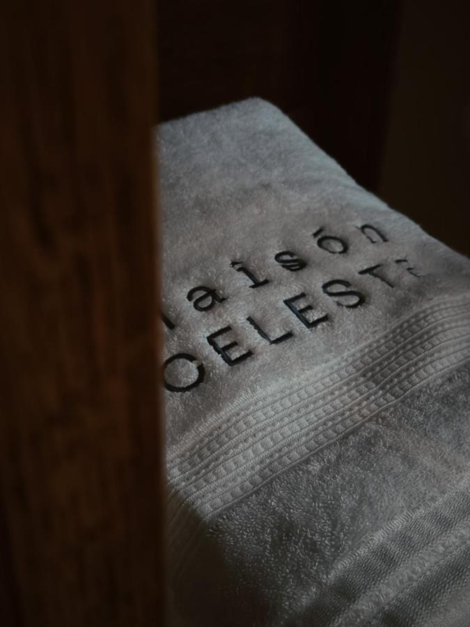 Maison Celeste เม็กซิโกซิตี้ ภายนอก รูปภาพ